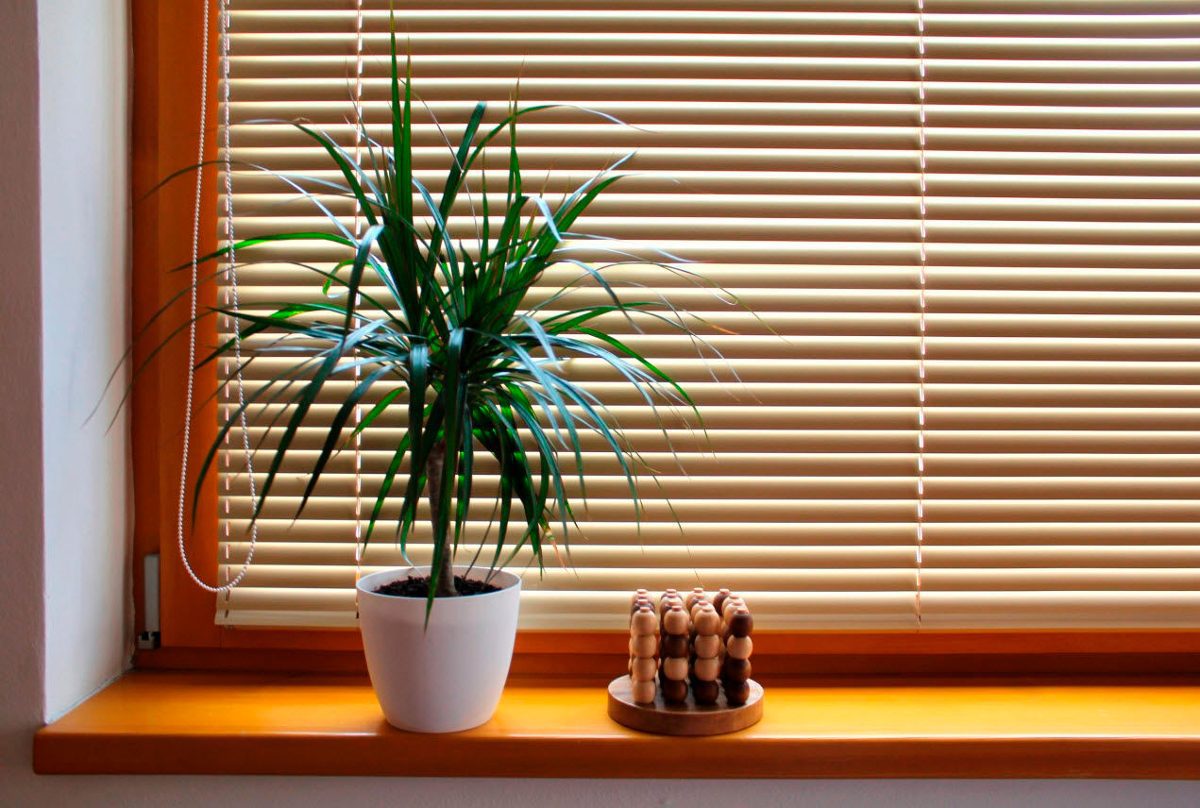 Todo Cortinas